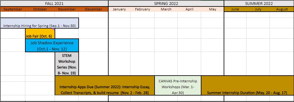 Internship timeline chart